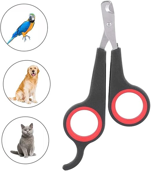 Sharp Nail Clippers